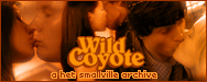 Wild Coyote