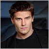 David Boreanaz