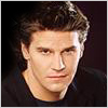 David Boreanaz